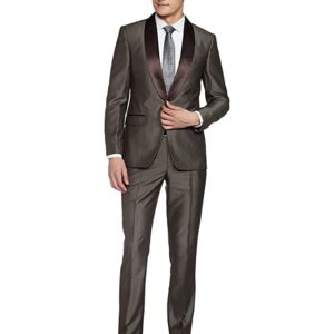 Arroy Avenue Men's Slim Fit Suit